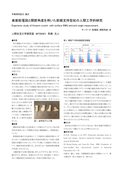 表面筋電図と関節角度を用いた前腕支持型杖の人間工学的研究