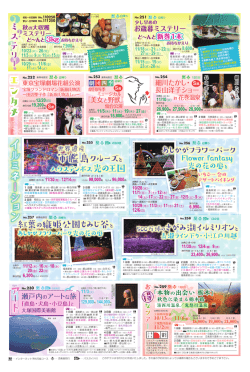 ミ ス テ リ ー 光の王国