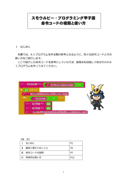命令コードの種類と使い方（PDF/924KB）
