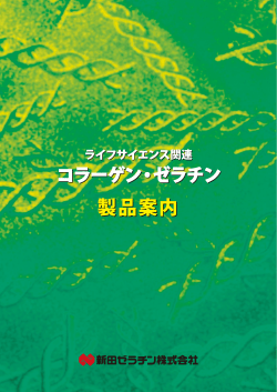 製品案内 製品案内