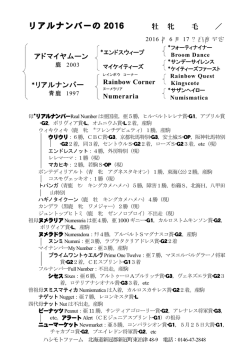 リアルナンバーの 2016
