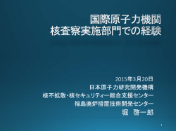 IAEA勤務経験 - 日本原子力研究開発機構