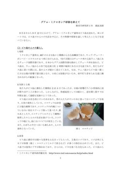 レポート（PDF）
