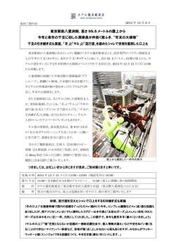 東京駅前八重洲側、高さ 55.5 メートルの屋上から 今年と来年の