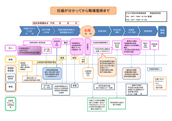 妊娠が分かってから職場復帰まで