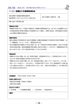 規模拡大支援事業補助金 規模拡大支援事業補助金