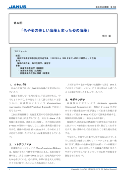 色や姿の美しい海藻と変った姿の海藻