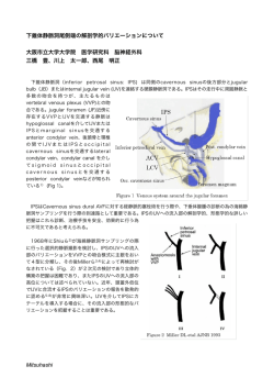 下錐体静脈洞尾側端の解剖学的バリエーションについて 大阪市立大学