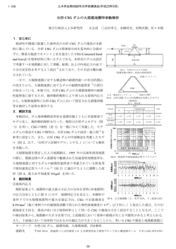 台形 CSG ダムの大規模地震時挙動解析