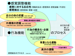 感覚統合のプロセス2011