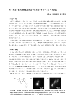 単一高分子鎖の直接観察に基づく高分子ダイナミクス