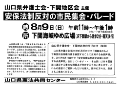 安保法制反対の市民 軍会・バレ事