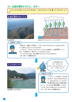 （2）水道水 源林からダム、せきへ