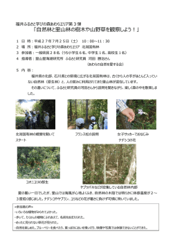 自然林と里山林の樹木や山野草を観察しよう！