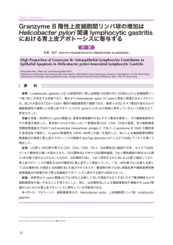 Granzyme B 陽性上皮細胞間リンパ球の増加は Helicobacter pylori