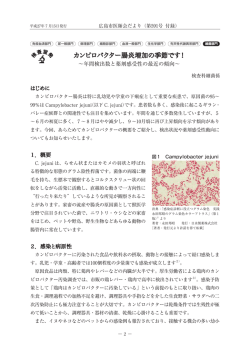 カンピロバクター腸炎増加の季節です！ - 一般社団法人 広島市医師会