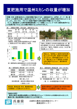 夏肥施用で温州ミカンの収量が増加 - 兵庫県立農林水産技術総合センター