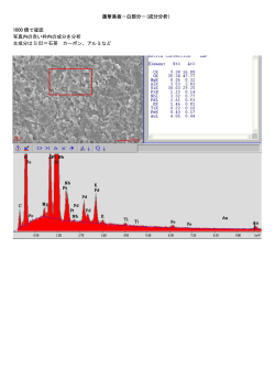 蓮華巣板－白部分－(成分分析） 1000 倍で確認 写真内の赤い枠内の