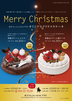 オリジナルクリスマスケーキ （0859）31-9120