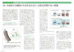 匂いを感知する細胞の生死を決めるの は特定時期の匂い刺激