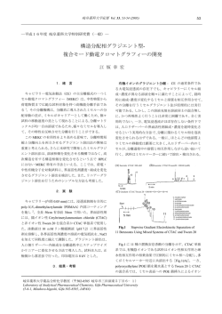 構造分配相グラジエント型- 複合モード動電クロマト