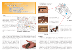 吉 原 向 遺 跡（よしわらむかいいせき）