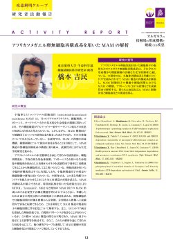 橋本 吉民 - 私立大学戦略的研究基盤形成支援事業
