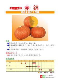赤 錦