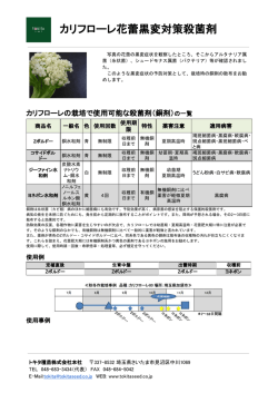 カリフローレ花蕾黒変対策殺菌剤