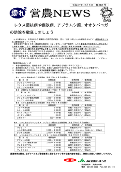 レタス菌核病や腐敗病、アブラムシ類、オオタバコガ の防除を徹底しましょう