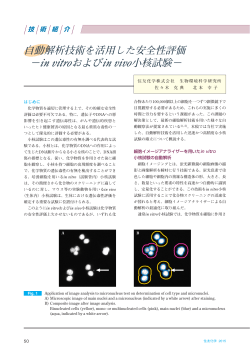 in vitroおよびin vivo小核試験