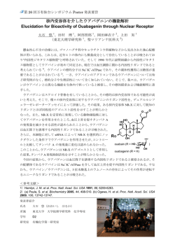 核内受容体を介したウアバゲニンの機能解析 Elucidation for Bioactivity