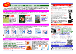 撮り方次第で変わる！スマホでの撮影テクニック ×