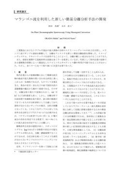 マランゴニ流を利用した新しい簡易分離分析手法の開発