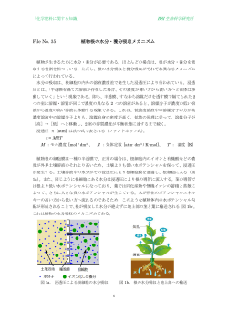 File No. 35 植物根の水分・養分吸収メカニズム