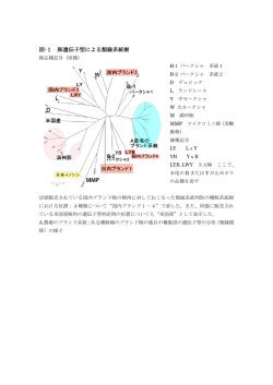 図-1 豚遺伝子型による類縁系統樹