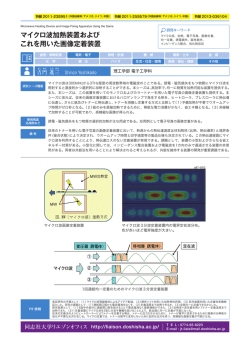 マイクロ波加熱装置および これを用いた画像定着装置