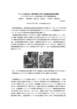 マイクロ波を用いた熱可塑性 CFRP の高速成形技術の開発