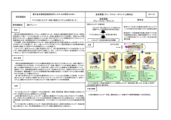 マイクロ波エネルギー供給・通信のシステム化研究