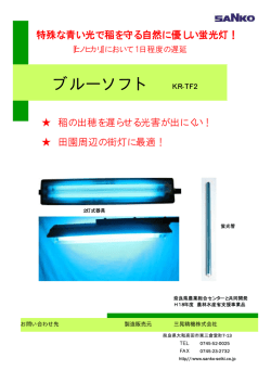 ブルーソフト