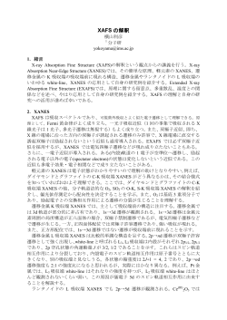 XAFS の解釈