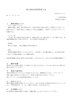 南瓜栽培技術情報 No5
