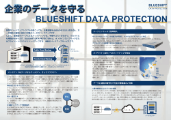BLUESHIFT DATA PROTECTION