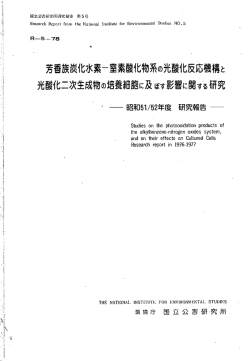 化水素-窒素酸化物系の光酸化反応機構と 次生成物