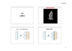 H27医学部発生学(16)：第十二章【】
