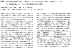 蛍光標識内部標準を用いた補Eによる Pro-Q Diamond 染色リン酸化
