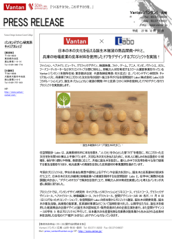 Vantan（バンタン） 広報 日本の木の文化を伝える誕生木雑貨の商品開発