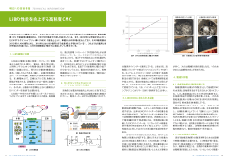 LiBの性能を向上する高粘度CMC