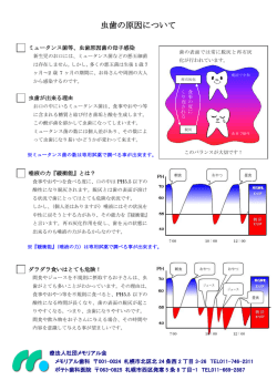 虫歯の原因について - 札幌の歯医者さん メモリアル会