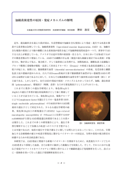 加齢黄斑変性の原因・発症メカニズムの解明